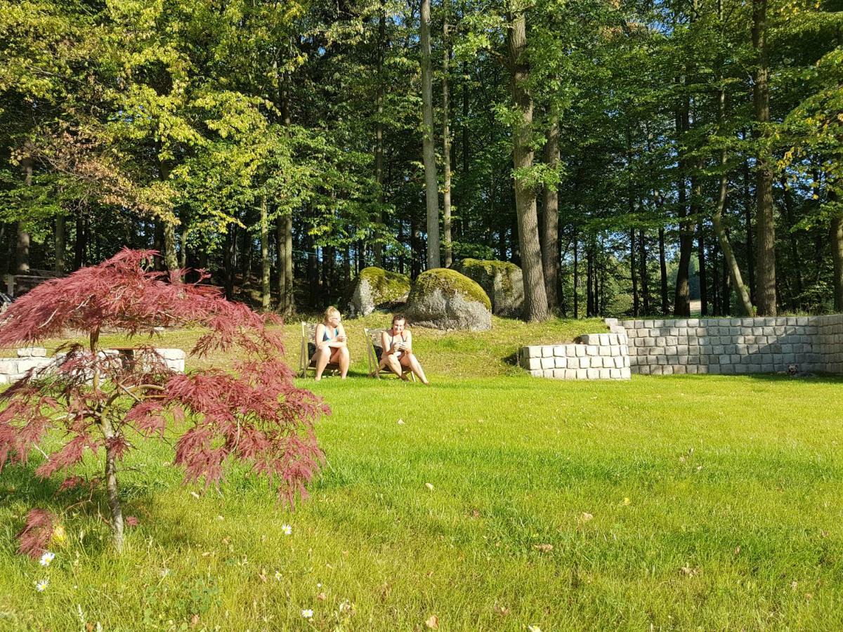 Sarna Karkonosze Apartman Bukowiec  Kültér fotó
